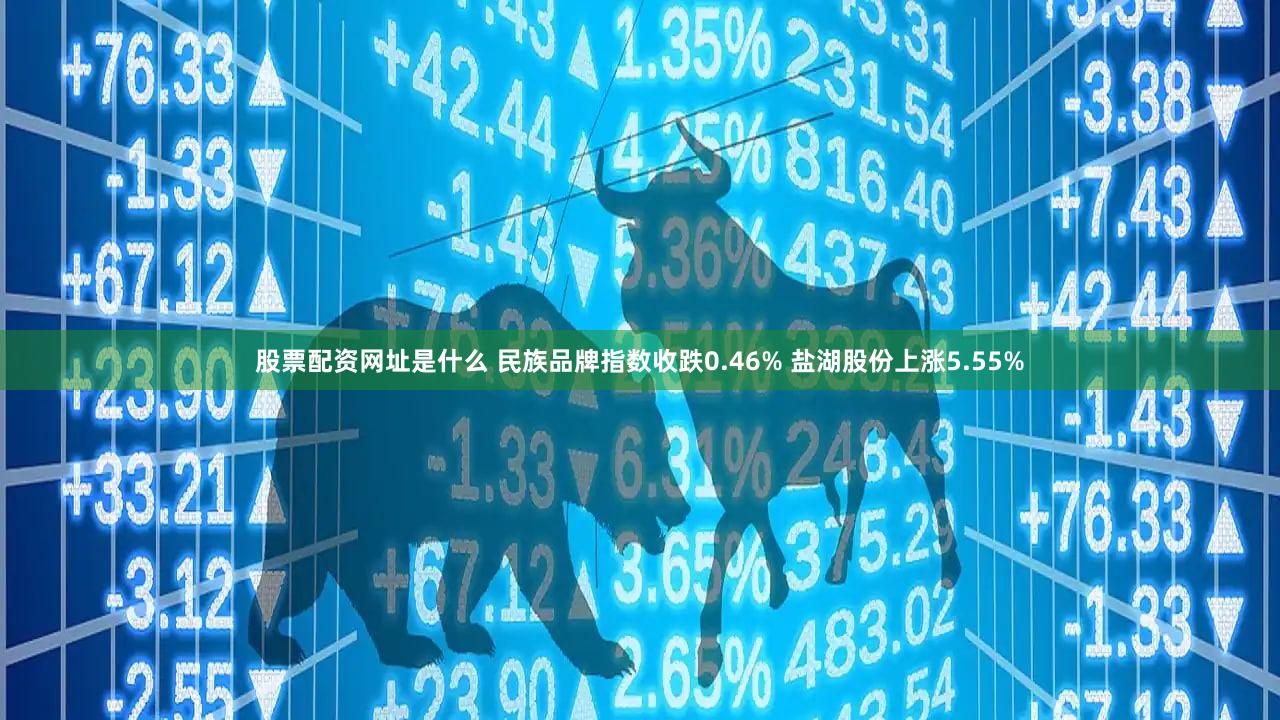 股票配资网址是什么 民族品牌指数收跌0.46% 盐湖股份上涨5.55%