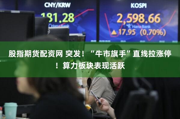 股指期货配资网 突发！“牛市旗手”直线拉涨停！算力板块表现活跃