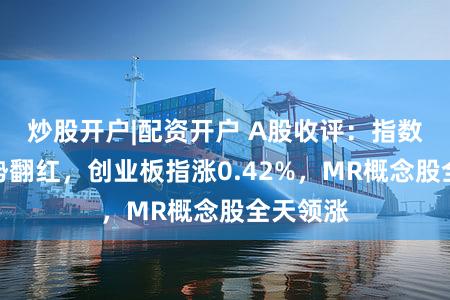 炒股开户|配资开户 A股收评:指数尾盘强势翻红,创业板指涨0.42%,MR概念股全天领涨
