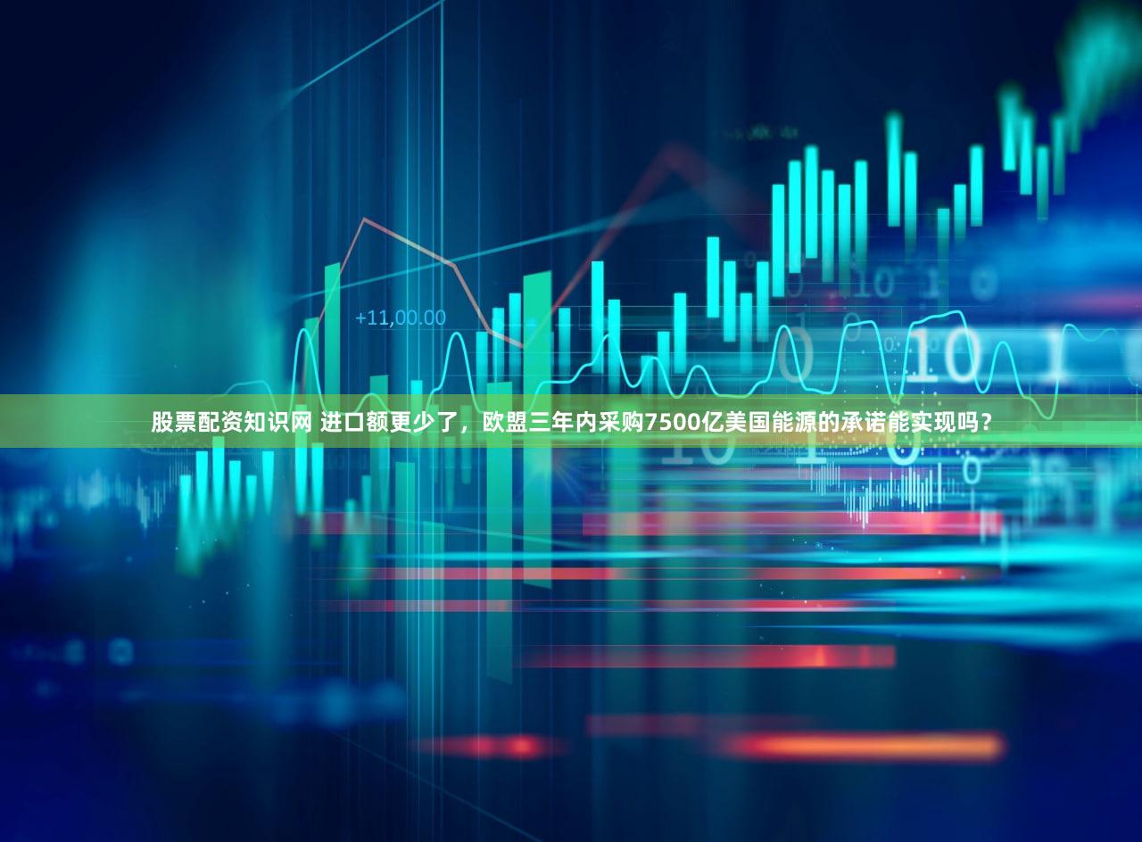 股票配资知识网 进口额更少了，欧盟三年内采购7500亿美国能源的承诺能实现吗？