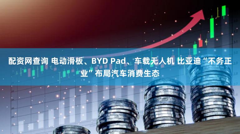 配资网查询 电动滑板、BYD Pad、车载无人机 比亚迪“不务正业”布局汽车消费生态