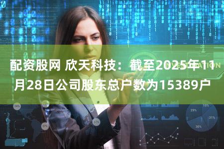 配资股网 欣天科技：截至2025年11月28日公司股东总户数为15389户